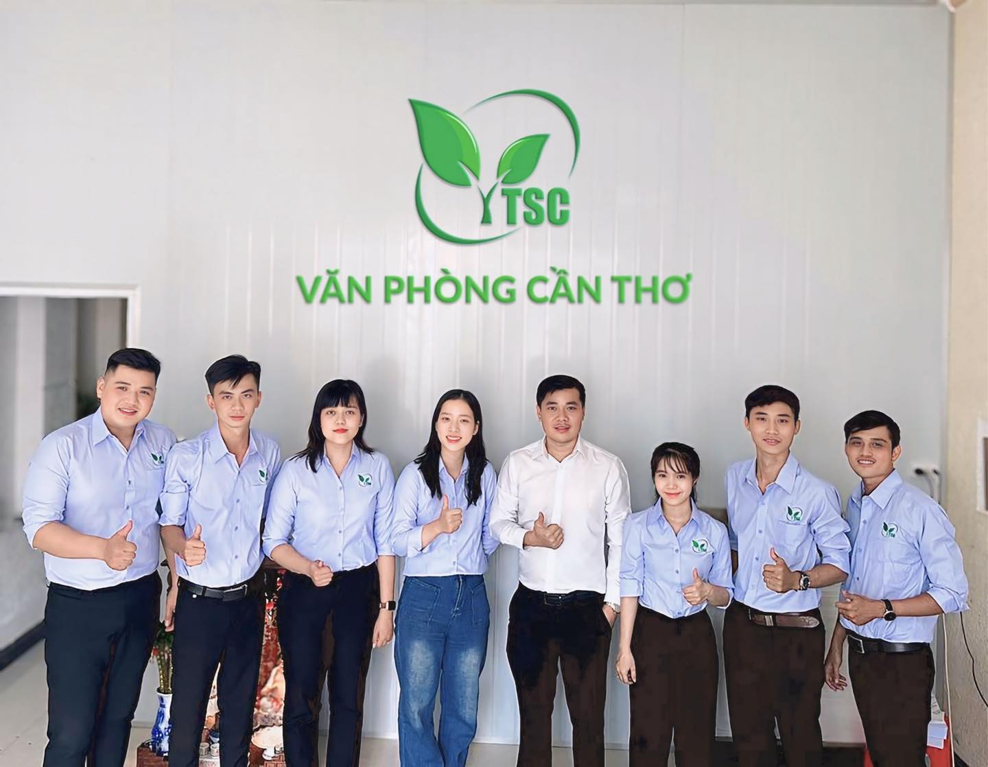 lĩnh vực hoạt động